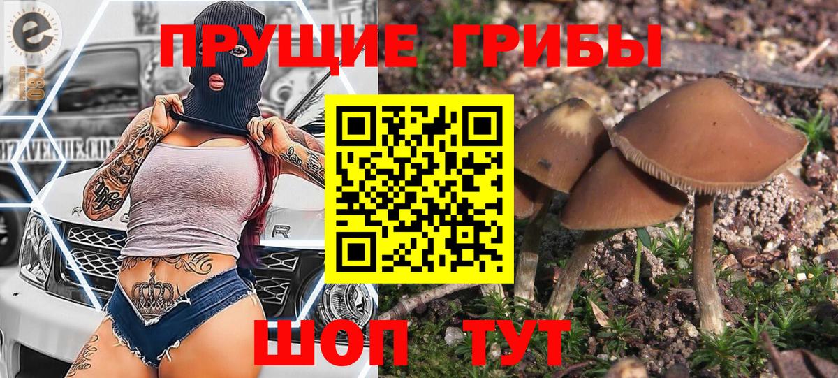 Галлюциногенные грибы MAGIC MUSHROOMS Усть-Илимск